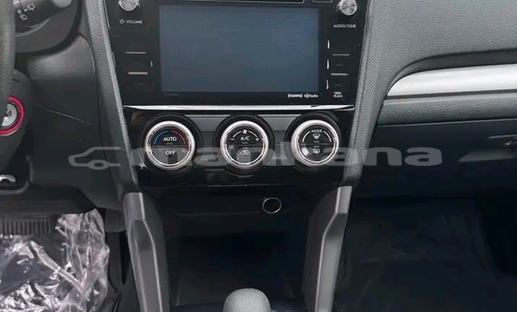 Buy Used Subaru Forester Black Car in Honi in Imereti Buy Used Subaru Forester Black Car in Honi in Imereti