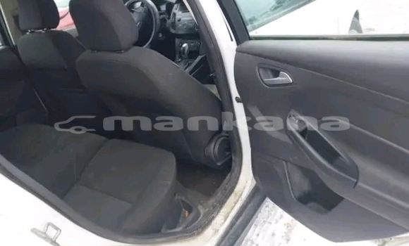 Buy Used Ford Focus White Car in Bihvinta in Abhasia Buy Used Ford Focus White Car in Bihvinta in Abhasia