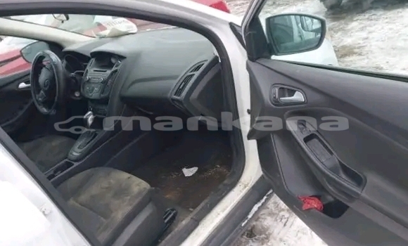 Buy Used Ford Focus White Car in Bihvinta in Abhasia Buy Used Ford Focus White Car in Bihvinta in Abhasia