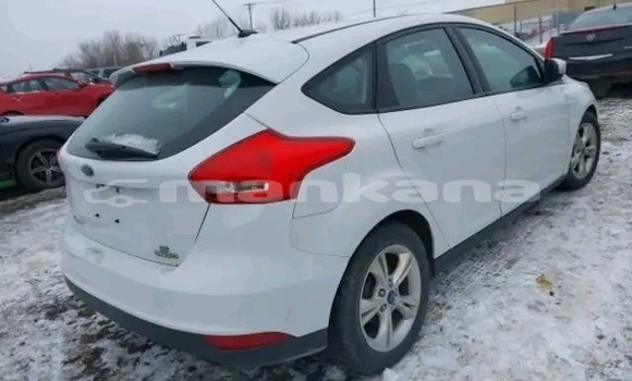 Buy Used Ford Focus White Car in Bihvinta in Abhasia Buy Used Ford Focus White Car in Bihvinta in Abhasia