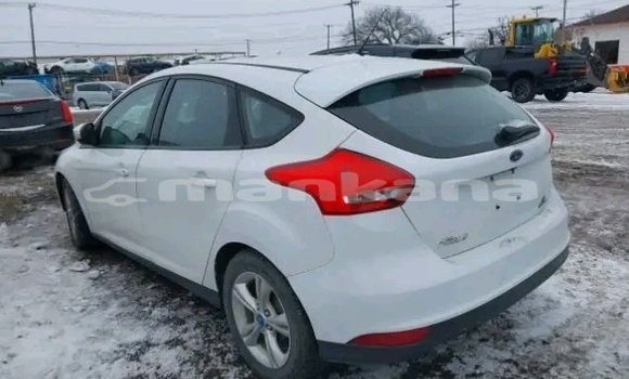 Buy Used Ford Focus White Car in Bihvinta in Abhasia Buy Used Ford Focus White Car in Bihvinta in Abhasia