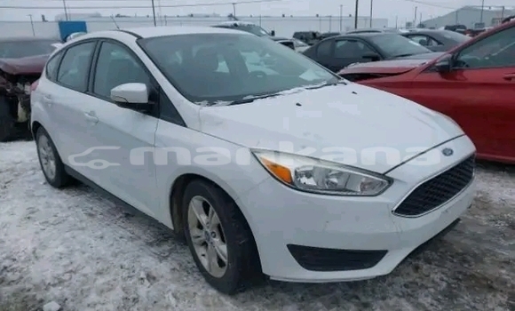 Buy Used Ford Focus White Car in Bihvinta in Abhasia Buy Used Ford Focus White Car in Bihvinta in Abhasia