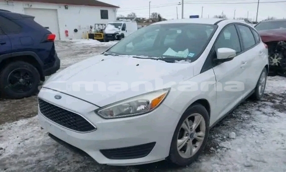 Buy Used Ford Focus White Car in Bihvinta in Abhasia Buy Used Ford Focus White Car in Bihvinta in Abhasia