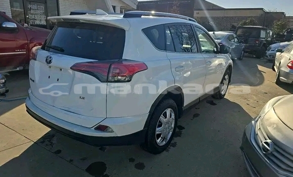 Buy Used Toyota RAV4 White Car in Batumi in Ajaria Buy Used Toyota RAV4 White Car in Batumi in Ajaria