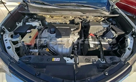 Buy Used Toyota RAV4 White Car in Batumi in Ajaria Buy Used Toyota RAV4 White Car in Batumi in Ajaria