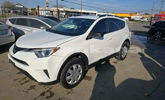 Buy Used Toyota RAV4 White Car in Batumi in Ajaria Buy Used Toyota RAV4 White Car in Batumi in Ajaria