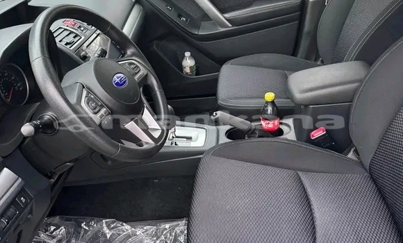 Buy Used Subaru Forester Black Car in Gulripshi in Abhasia Buy Used Subaru Forester Black Car in Gulripshi in Abhasia