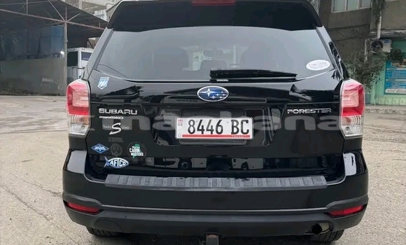 Buy Used Subaru Forester Black Car in Gulripshi in Abhasia Buy Used Subaru Forester Black Car in Gulripshi in Abhasia