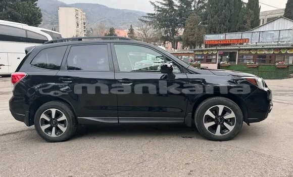 Buy Used Subaru Forester Black Car in Gulripshi in Abhasia Buy Used Subaru Forester Black Car in Gulripshi in Abhasia