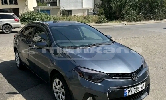 Buy Used Toyota Corolla Black Car in Batumi in Ajaria