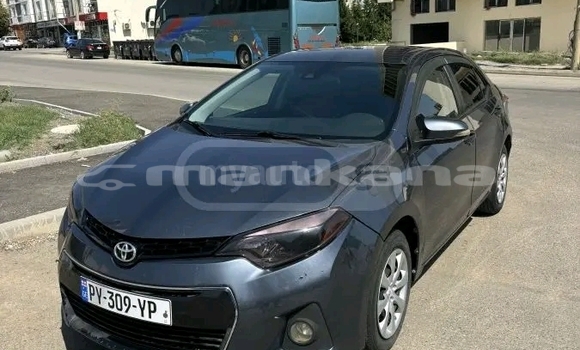 Buy Used Toyota Corolla Black Car in Batumi in Ajaria Buy Used Toyota Corolla Black Car in Batumi in Ajaria