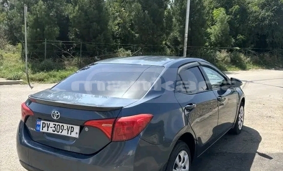 Buy Used Toyota Corolla Black Car in Batumi in Ajaria Buy Used Toyota Corolla Black Car in Batumi in Ajaria