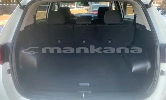 Buy Used Kia Sportage White Car in Bihvinta in Abhasia Buy Used Kia Sportage White Car in Bihvinta in Abhasia