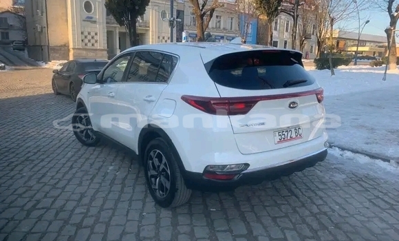 Buy Used Kia Sportage White Car in Bihvinta in Abhasia Buy Used Kia Sportage White Car in Bihvinta in Abhasia