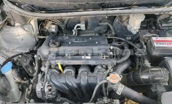 Buy Used Ford F–150 Other Car in Bihvinta in Abhasia Buy Used Ford F–150 Other Car in Bihvinta in Abhasia