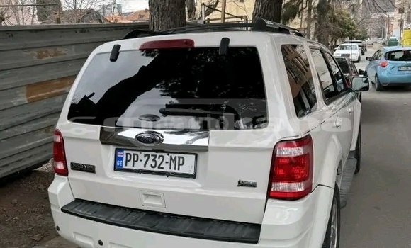 Buy Used Ford Escape White Car in Bihvinta in Abhasia Buy Used Ford Escape White Car in Bihvinta in Abhasia