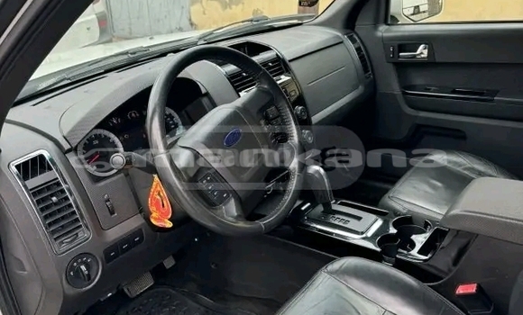 Buy Used Ford Escape White Car in Bihvinta in Abhasia Buy Used Ford Escape White Car in Bihvinta in Abhasia