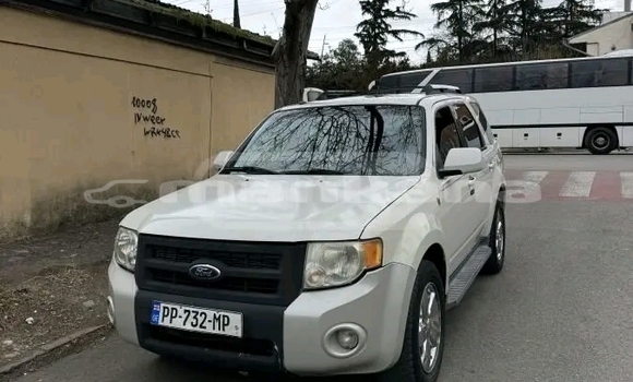 Buy Used Ford Escape White Car in Bihvinta in Abhasia Buy Used Ford Escape White Car in Bihvinta in Abhasia