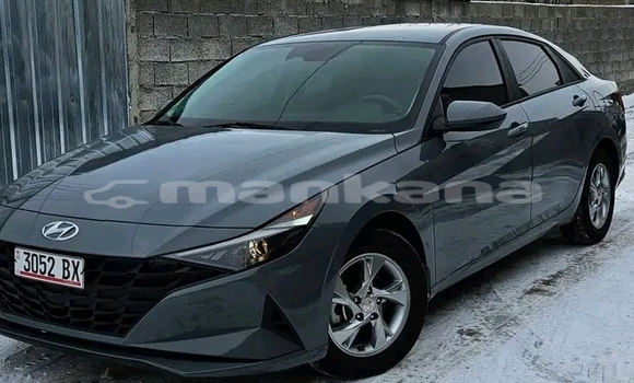 Buy Used Hyundai Elantra Other Car in Bihvinta in Abhasia Buy Used Hyundai Elantra Other Car in Bihvinta in Abhasia