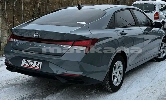 Buy Used Hyundai Elantra Other Car in Bihvinta in Abhasia Buy Used Hyundai Elantra Other Car in Bihvinta in Abhasia