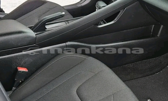 Buy Used Hyundai Elantra Other Car in Bihvinta in Abhasia Buy Used Hyundai Elantra Other Car in Bihvinta in Abhasia