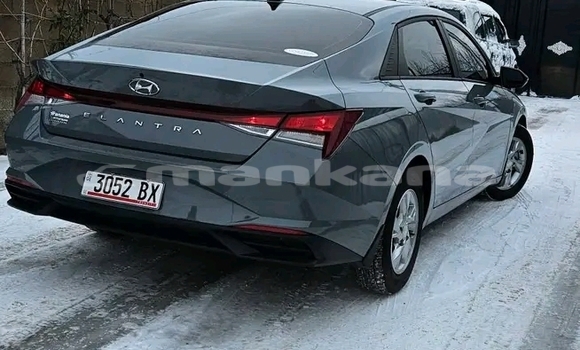 Buy Used Hyundai Elantra Other Car in Bihvinta in Abhasia Buy Used Hyundai Elantra Other Car in Bihvinta in Abhasia
