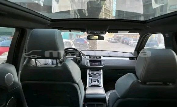 Buy Used Range Rover Range Rover Other Car in Dedoplisckaro in Kaheti