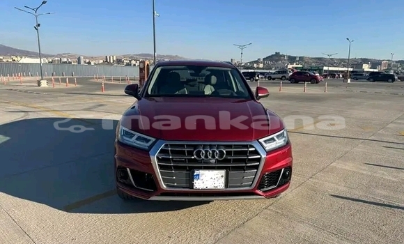 Buy Used Audi Q5 Red Car in Batumi in Ajaria Buy Used Audi Q5 Red Car in Batumi in Ajaria