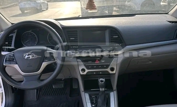 Buy Used Hyundai Elantra White Car in Batumi in Ajaria Buy Used Hyundai Elantra White Car in Batumi in Ajaria