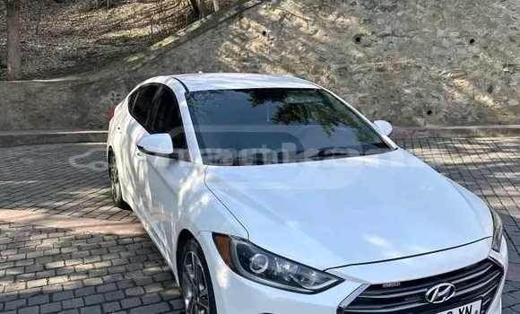 Buy Used Hyundai Elantra White Car in Batumi in Ajaria Buy Used Hyundai Elantra White Car in Batumi in Ajaria