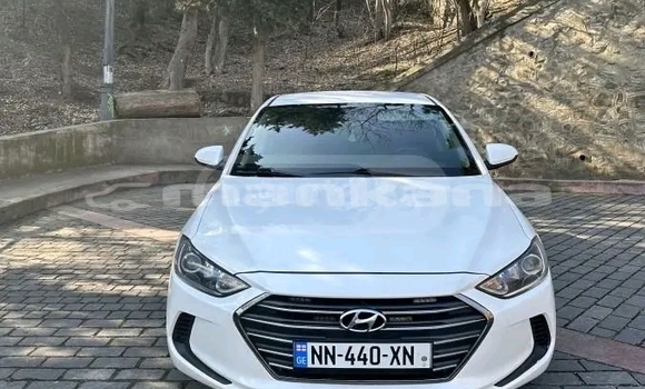 Buy Used Hyundai Elantra White Car in Batumi in Ajaria Buy Used Hyundai Elantra White Car in Batumi in Ajaria