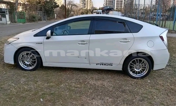 Buy Used Toyota Prius White Car in Bihvinta in Abhasia Buy Used Toyota Prius White Car in Bihvinta in Abhasia