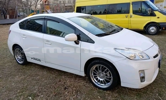 Buy Used Toyota Prius White Car in Bihvinta in Abhasia Buy Used Toyota Prius White Car in Bihvinta in Abhasia