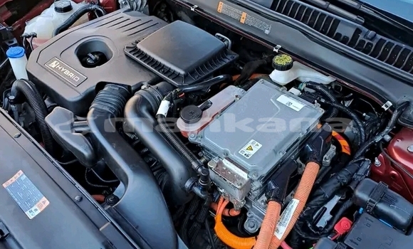 Buy Used Ford Fusion Red Car in Batumi in Ajaria Buy Used Ford Fusion Red Car in Batumi in Ajaria