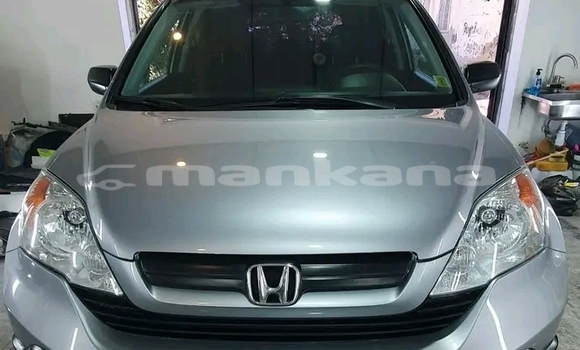 Buy Used Honda CR–V Other Car in Batumi in Ajaria Buy Used Honda CR–V Other Car in Batumi in Ajaria