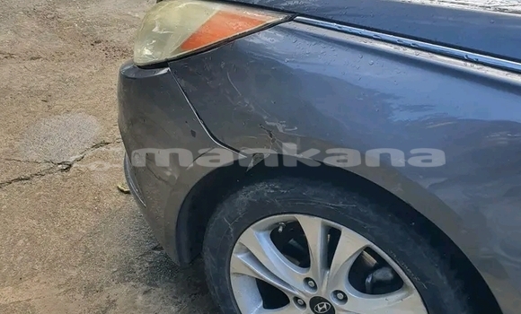 Buy Used Hyundai Sonata Other Car in Batumi in Ajaria Buy Used Hyundai Sonata Other Car in Batumi in Ajaria