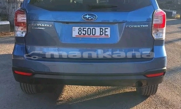 Buy Used Subaru Forester Blue Car in Batumi in Ajaria Buy Used Subaru Forester Blue Car in Batumi in Ajaria