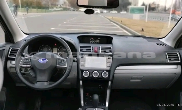 Buy Used Subaru Forester Black Car in Batumi in Ajaria Buy Used Subaru Forester Black Car in Batumi in Ajaria