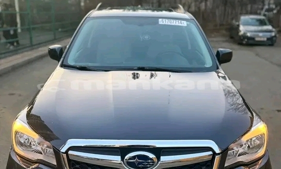 Buy Used Subaru Forester Black Car in Batumi in Ajaria Buy Used Subaru Forester Black Car in Batumi in Ajaria