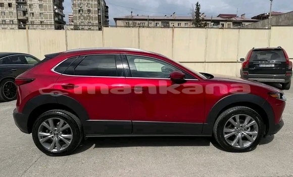 Buy Used Mazda CX-3 Red Car in Batumi in Ajaria Buy Used Mazda CX-3 Red Car in Batumi in Ajaria