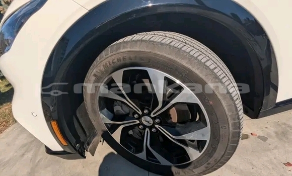 Buy Used Ford Mustang White Car in Batumi in Ajaria Buy Used Ford Mustang White Car in Batumi in Ajaria