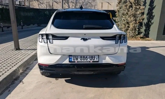 Buy Used Ford Mustang White Car in Batumi in Ajaria Buy Used Ford Mustang White Car in Batumi in Ajaria