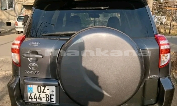 Buy Used Toyota RAV4 Other Car in Bagdadi in Imereti Buy Used Toyota RAV4 Other Car in Bagdadi in Imereti