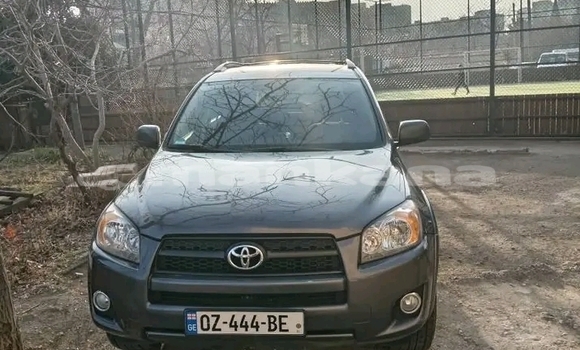 Buy Used Toyota RAV4 Other Car in Bagdadi in Imereti Buy Used Toyota RAV4 Other Car in Bagdadi in Imereti