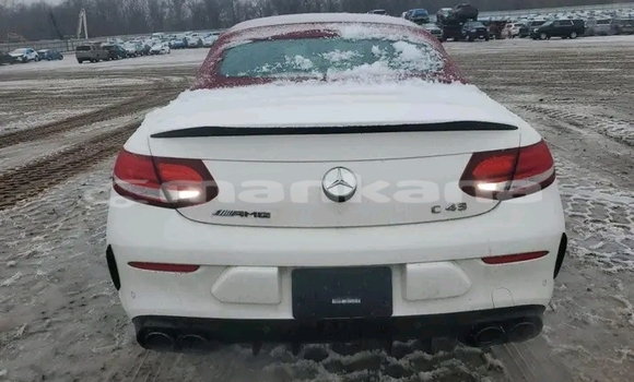 Buy Used Mercedes-Benz C180 COUPE White Car in Bihvinta in Abhasia Buy Used Mercedes-Benz C180 COUPE White Car in Bihvinta in Abhasia