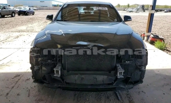 Buy Used BMW 503 Black Car in Gulripshi in Abhasia Buy Used BMW 503 Black Car in Gulripshi in Abhasia