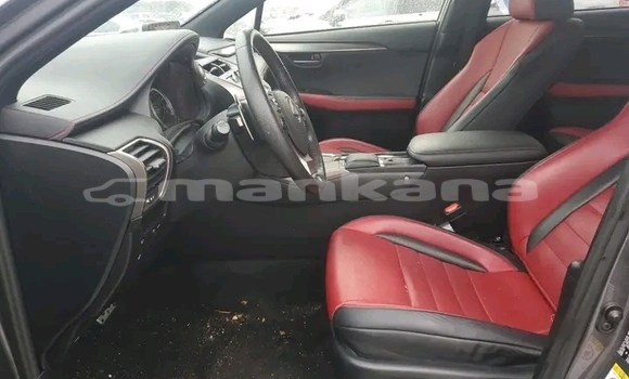 Buy Used Lexus NX Other Car in Batumi in Ajaria