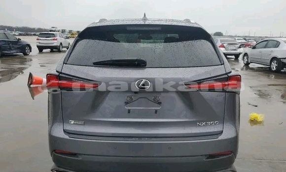 Buy Used Lexus NX Other Car in Batumi in Ajaria Buy Used Lexus NX Other Car in Batumi in Ajaria
