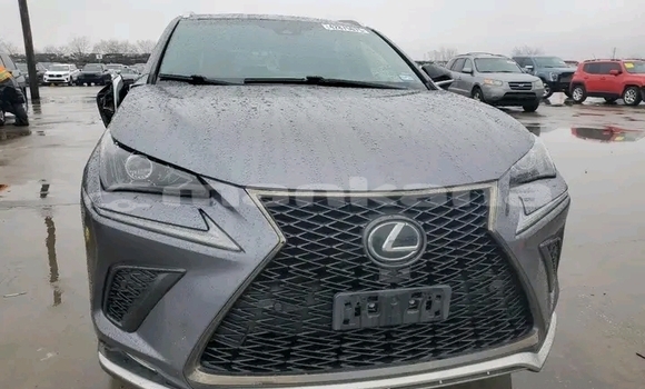 Buy Used Lexus NX Other Car in Batumi in Ajaria Buy Used Lexus NX Other Car in Batumi in Ajaria