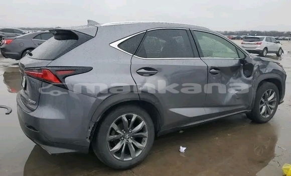 Buy Used Lexus NX Other Car in Batumi in Ajaria Buy Used Lexus NX Other Car in Batumi in Ajaria